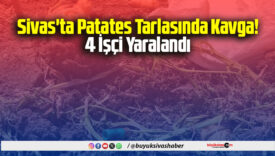 patates