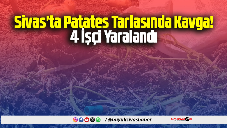patates