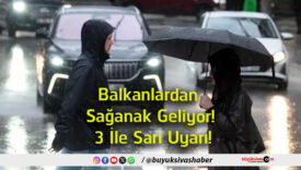 sarı