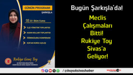 şarkışla