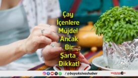 şarta