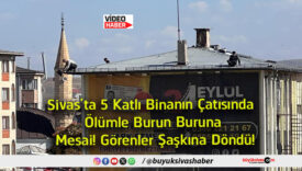 şaşkına