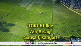 satışa