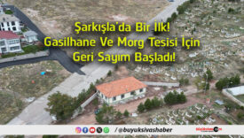 sayım