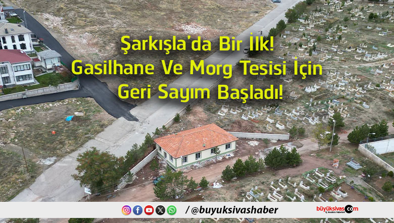 sayım