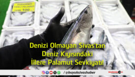sevkiyat
