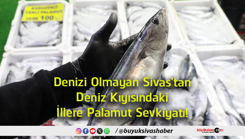 sevkiyat