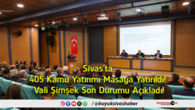 şimşek