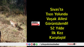 sivasta
