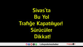 sürücüler