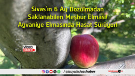 sürüyor