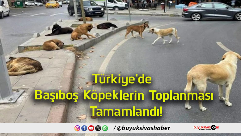 tamamlandı