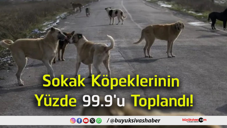 toplandı