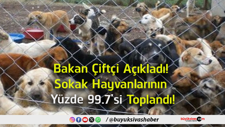 toplandı