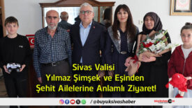 valisi