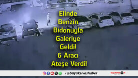 verdi