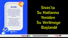 verilmeye