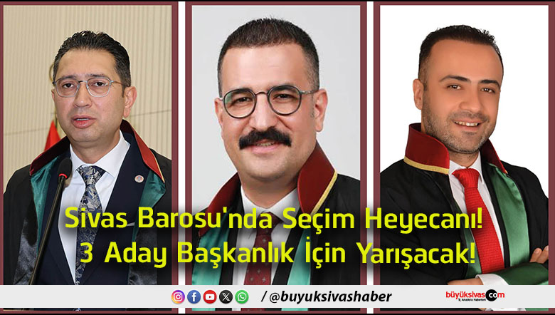 yarışa