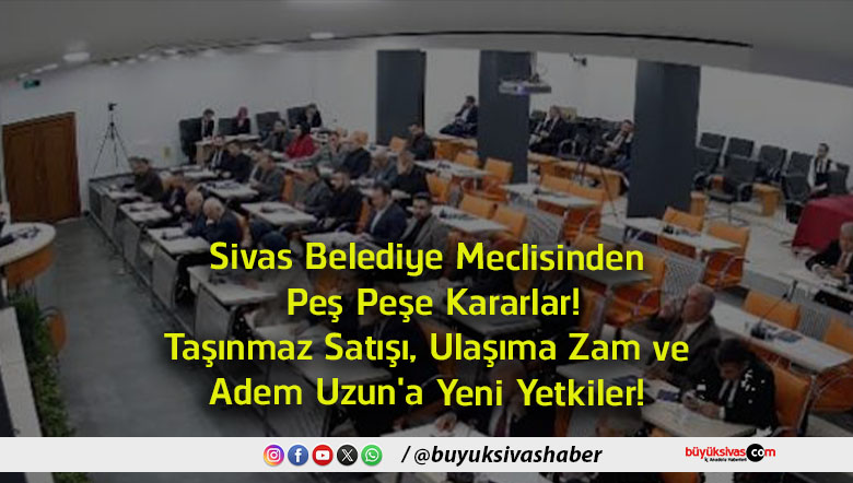 yetki